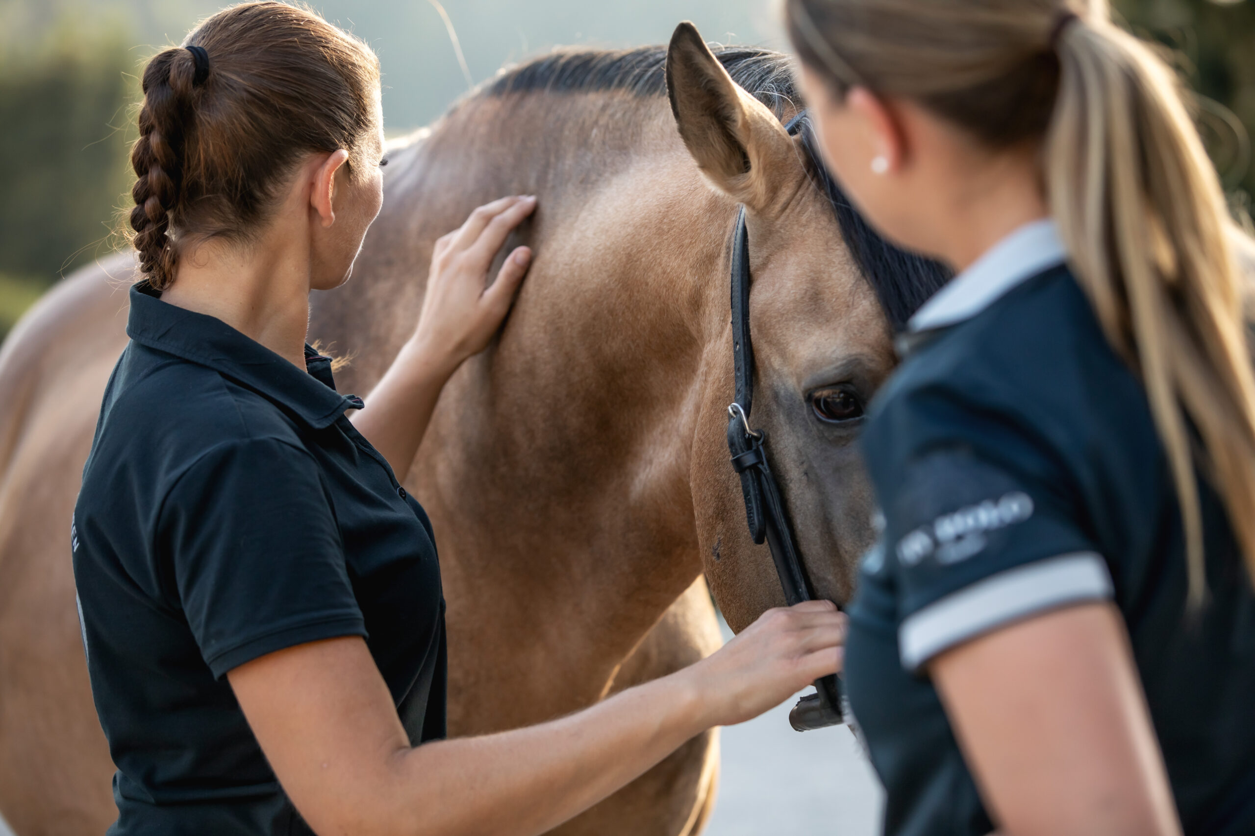 Eine Frau streicht mit ihrer Hand über den Hals des Pferdes und erklärt die Muskeln der Besitzerin.