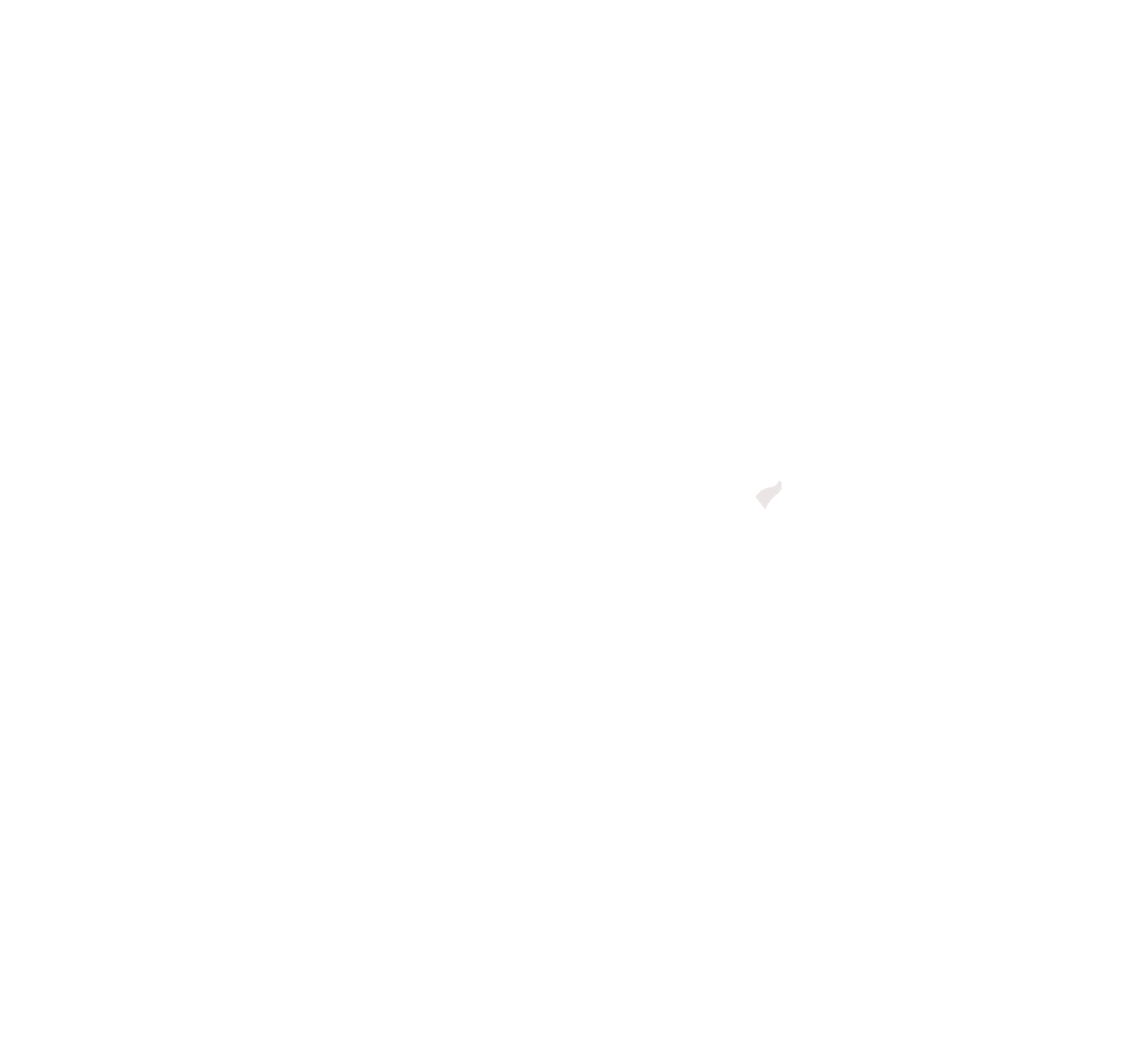 Alexandra Schmucker | Reiten durch Leichtigkeit