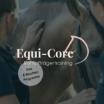 Start 8 Wochen Rumpfträger-Training Online