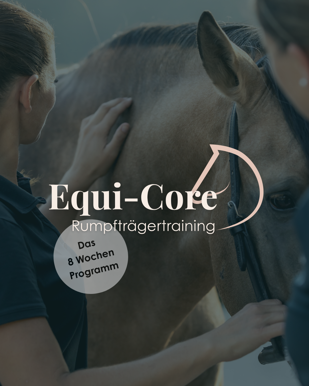 Start 8 Wochen Rumpfträger-Training Online